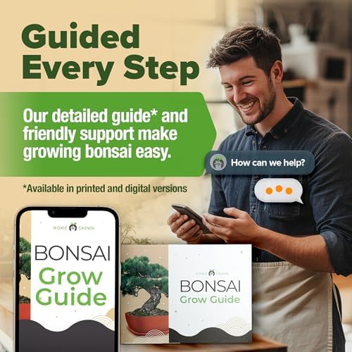 HOME GROWN 6 Bonsai Tree Starter Kit, Indoor Growing & Christmas Gift - Image 4