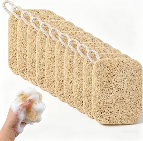 10Pcs Kitchen Sponges - Natural, Reusable and Eco-Friendly by Unknown