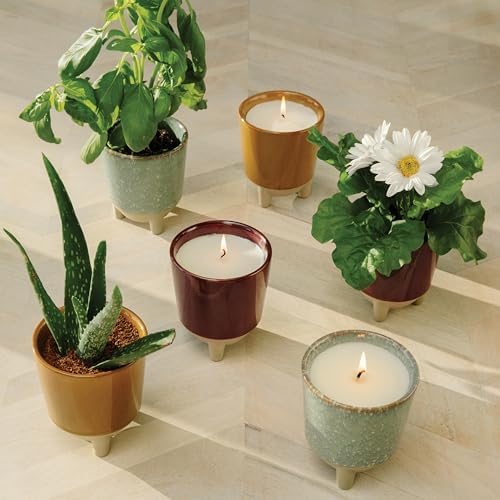 Modern Sprout Glow and Grow Kit - Soy Candle Planter - Grows Basil - 12oz - Image 6