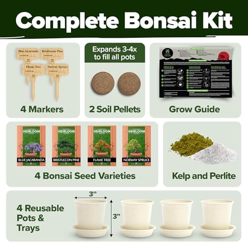HOME GROWN Bonsai Tree Starter Kit, Grow 4 Bonsai Trees, Gardening Gift - Image 2
