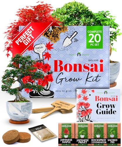 HOME GROWN Bonsai Tree Starter Kit, 4 Varieties, Indoor Gardening Gift Set by HOMEGROWN