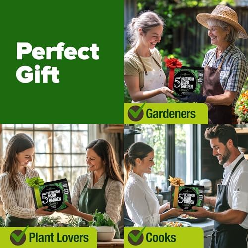 HOME GROWN 5 Herb Indoor Garden Starter Kit, Christmas Gardening Gift - Image 4