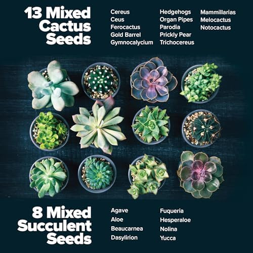 HOME GROWN Succulent & Cactus Seed Starter Kit, DIY Gardening Gift - Image 3