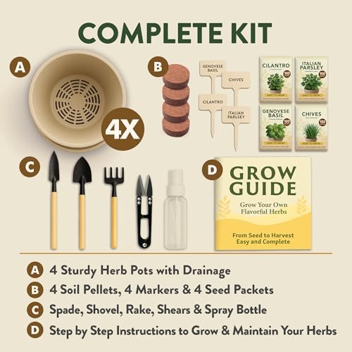 HOME GROWN 4 Herb Indoor Garden Kit, Christmas Gardening Gift for Adults - Image 2