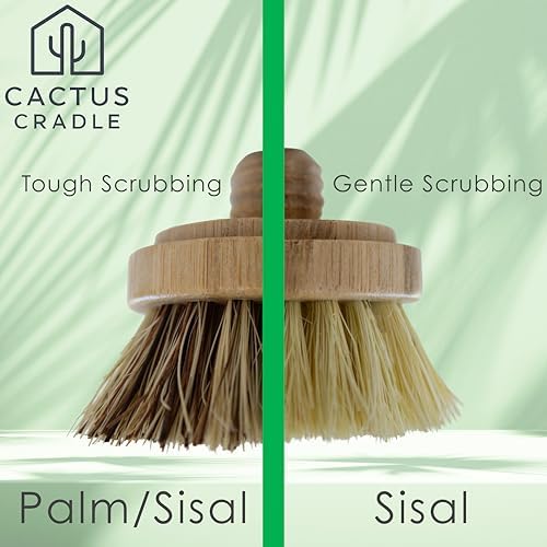 Cactus Cradle Bamboo Scrub Brush Set (4-Piece Kit) – Plastic-Free Kitchen Scrub Brushes with 2 Ergonomic Handles & 2 Interchangeable Plant-Based Bristle Heads | Non-Scratch Pot, Pan & Produce Cleaner - Image 4