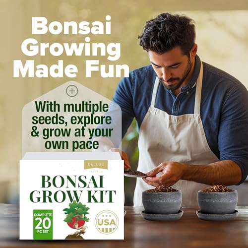 HOME GROWN Bonsai Tree Starter Kit, 4 Varieties, Indoor Gardening Gift Set - Image 4