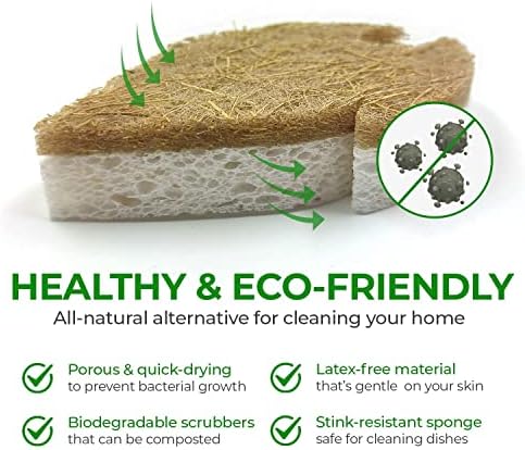 AIRNEX 18 Pack Biodegradable Natural Kitchen Sponge - Compostable Cellulose and Coconut Walnut Scrubber Sponge - Eco Friendly Sponges for Dishes - Image 4