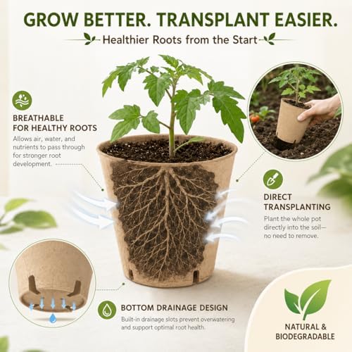 Peat Pots for Seedlings - 25 Pack Seed Starting Pots with Drainage Holes - Image 2
