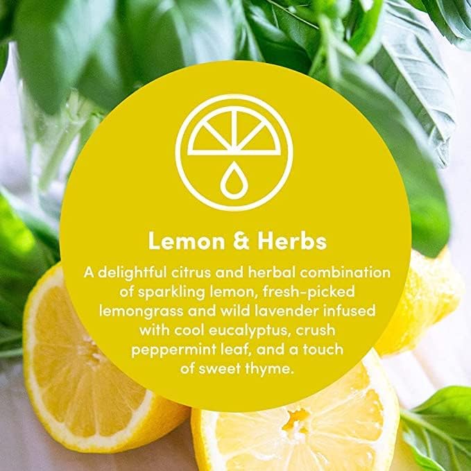 Clean Revolution Multi-Surface Cleaner Refill Supply | Non-Toxic, Eco-Friendly & Plant-Based | Ready To Use | Lemon & Herbs | 128 Fl Oz, 4 Pack, 512 Total Fl Oz - Image 3