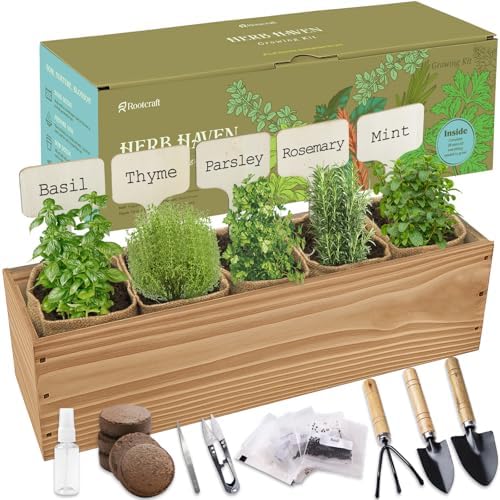 5 Herb Garden Planter Indoor with Wooden Box, Home Kitchen Seed Starter Kit Including Basil, Thyme, Parsley, Rosemary, Mint, Birthday, Mothers Day, House Warming, Gardening Gifts for Women, Mom by ROOTCRAFT