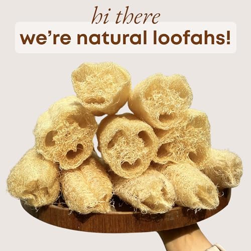 Natural Loofah Sponge 4Pcs Exfoliating Body Dish Scrubber Kitchen - Image 2