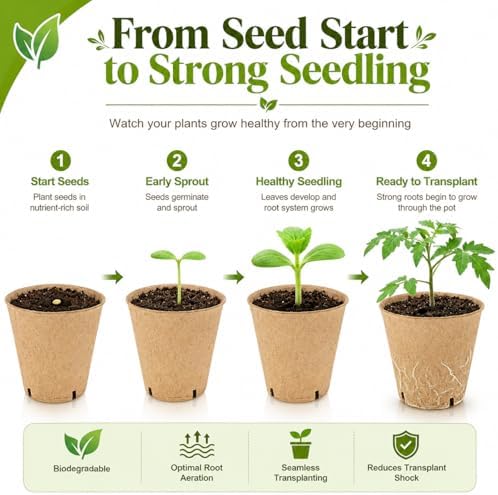 Peat Pots for Seedlings - 25 Pack Seed Starting Pots with Drainage Holes - Image 4