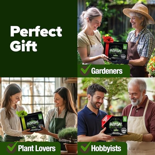 HOME GROWN Bonsai Tree Starter Kit, Grow 4 Bonsai Trees, Gardening Gift - Image 4