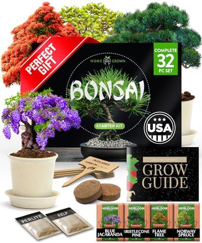 HOME GROWN Bonsai Tree Starter Kit, Grow 4 Bonsai Trees, Gardening Gift by HOMEGROWN