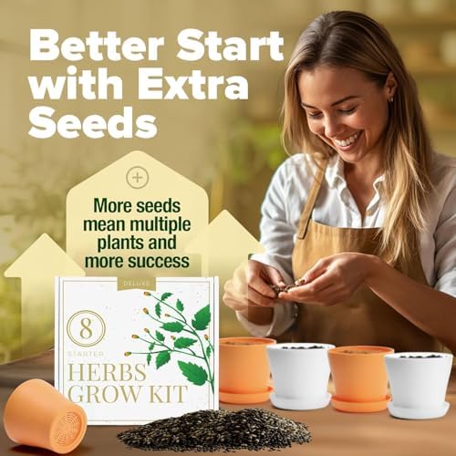 HOME GROWN 8 Herb Garden Kit, Indoor Growing Kit, Gardening Gifts for Women - Image 4