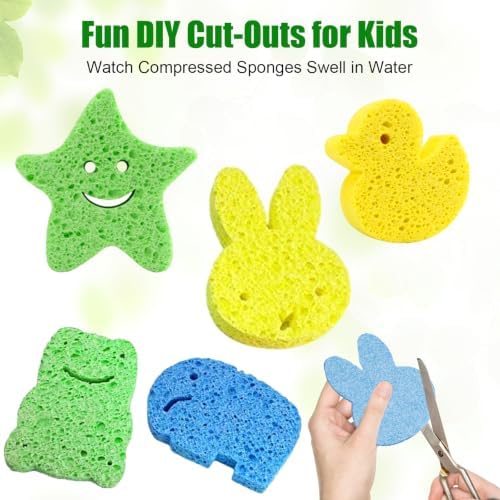 12 Pack Kitchen Sponges, Compressed Cellulose Non-Scratch for Dish Washing - Image 6
