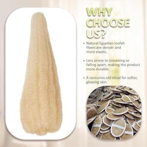 Premium Egyptian Natural Loofah Sponge 100% Plant-Based Exfoliating Body Scrubber Dye-Free Biodegradable Shower Pouf Deep Cleansing for Body Back and Face, Women & Men (2 Pack) - Image 4