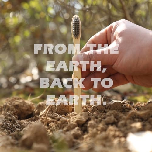 Isshah Biodegradable Bamboo Charcoal Toothbrush - 36 Pack - FSC Certified - Image 4
