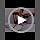 Travel Toothbrush Case, Toothbrush Containers，2 Pcs - Image 7