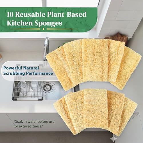 Natural Loofah Kitchen Sponge - Natural Sponges for Dishes - Dish Sponge - Image 3