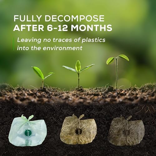 ANECO 100% Compostable Food Waste Bags 2.6 Gallon With Handles, 45 Count - Image 5