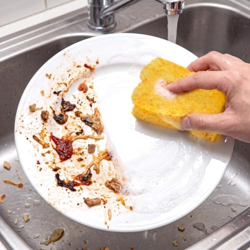 Norpro 1094 Natural Pop-Up Cleaning Sponges, 12-Pack, Compostable, Dishwasher Safe, 4x3in Wet Size, Made in USA - Image 6