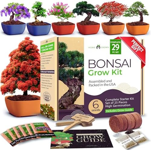 HOME GROWN 6 Bonsai Tree Starter Kit, Indoor Growing & Christmas Gift by HOMEGROWN
