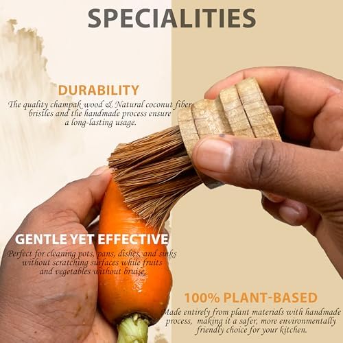 2 Pack Vegetable Brush Dish Scrubber Wooden Dish Brush for Kitchen Natural Coconut Fiber Bristles Champak Wooden Handle Brush for Sink, Dishes, Pans Fruits and Vegetables Cleaning Brush - Image 2