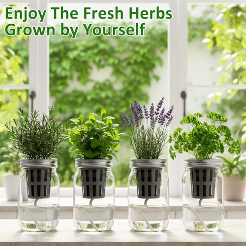 Teenyyou 12 Set Hydroponic Garden Mason Jar Kit Self Watering Herb Hydroponic Planter Starter Kit with Net Pot Garden Flower Plant Growing Gift for Indoor Herbs Windowsill Gardening - Image 6