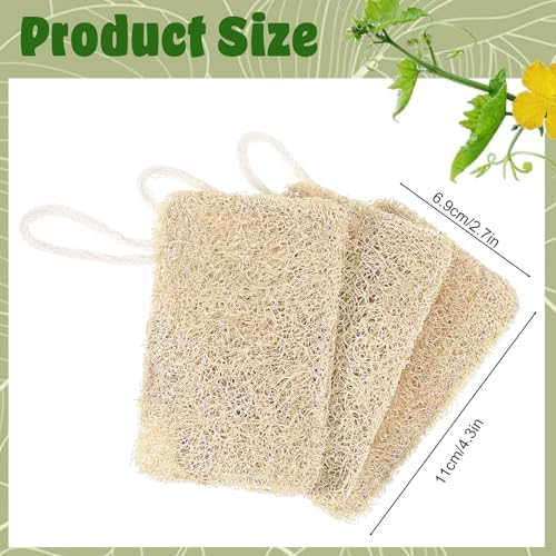 3 Pcs Loofah for Dishes,Eco Friendly Compostable Loofah Sponge - Image 2