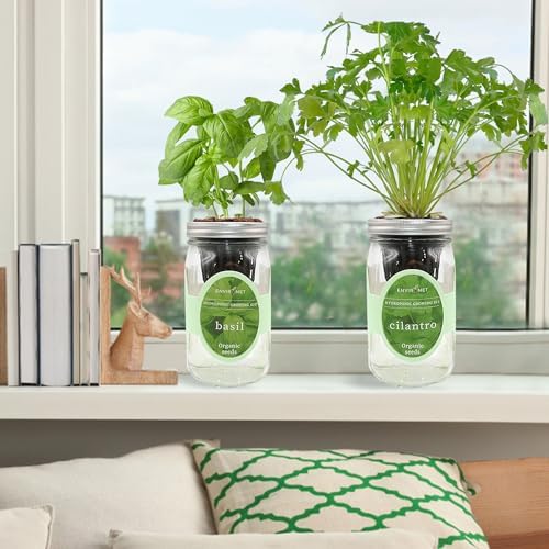 2-Pack Hydroponic Mason Jar Herb Garden Kit, Indoor Herb Garden Self-Watering Starter Kit (Basil,Cilantro) - Image 3