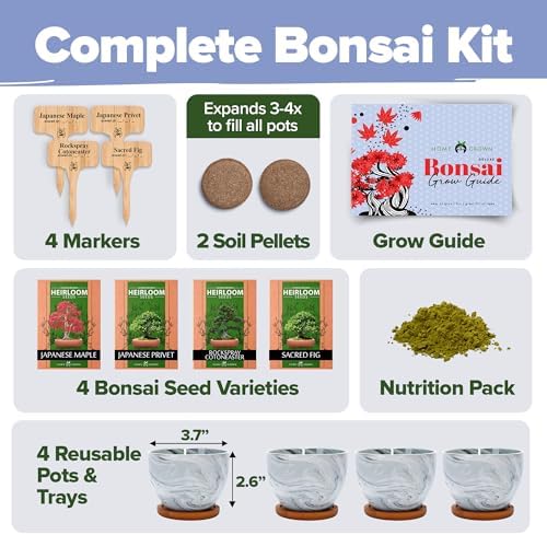 HOME GROWN Bonsai Tree Starter Kit, 4 Varieties, Indoor Gardening Gift Set - Image 2