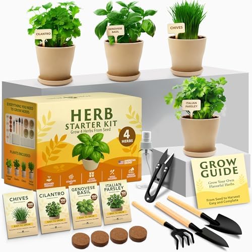 HOME GROWN 4 Herb Indoor Garden Kit, Christmas Gardening Gift for Adults by HOMEGROWN