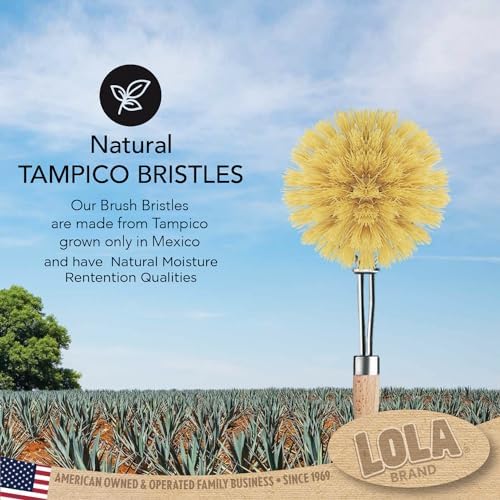 LOLA -The Original - Tampico Vegetable & Dish Brush, 6 Pack, Sustainable Wood Ergonomic Handle w/Tampico Fiber Bristles - Image 5
