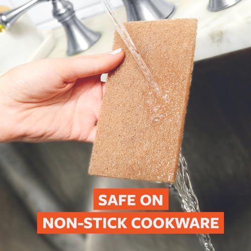 Full Circle Walnut Shell Scour Pads, Pack of 8, Powerful, Safe for Nonstick - Image 4