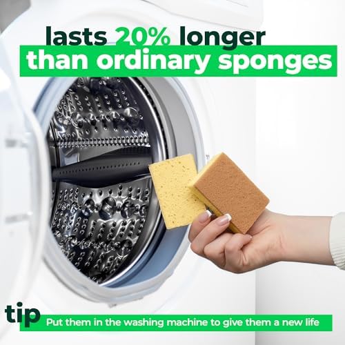 bioGo 12 Pack Natural Biodegradable Kitchen Sponges - Eco-Friendly, Compostable, Cellulose Dish - Compostable - Biodegradable - Cellulose Sponge - Image 4