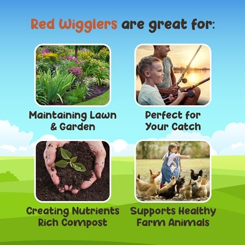 Red Wigglers Composting Worms, 1/8lb Red Worms for Composting for Gardens - Image 3