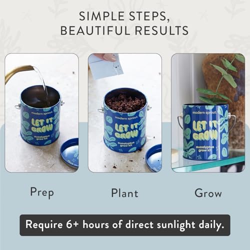 Modern Sprout Complimentary Color Grow Kits - Seed Starter Kit, Pack of 3 - Image 5
