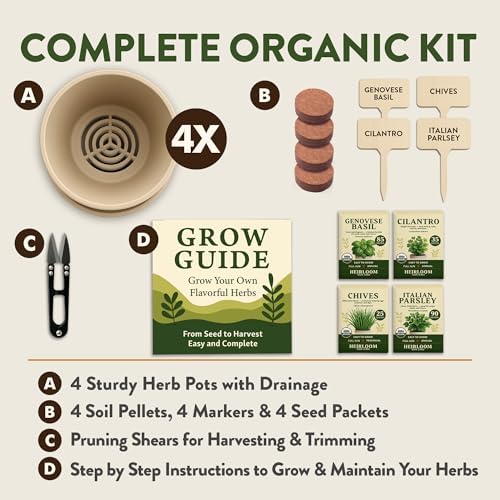 HOME GROWN 4 Herb Indoor Garden Kit, Christmas Gardening Gift for Adults - Image 2