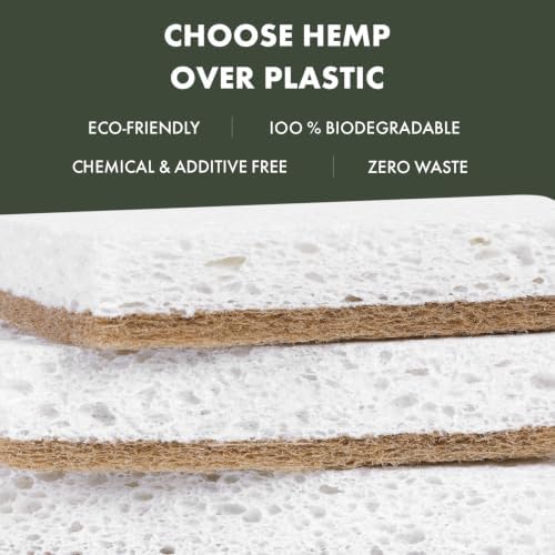 Isshah Natural Kitchen Scrub Sponges for Dishes - Plant-Based - 24 Count - Image 3