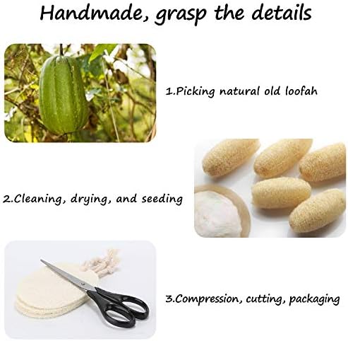 Natural Dish Scrubbers, 6 Piece Kitchen Loofah Sponge, Greener Clean Durable Non-Scratch Brush, Made from Plant-Based Fibers Oil Non-Stick, Compostable - Image 5