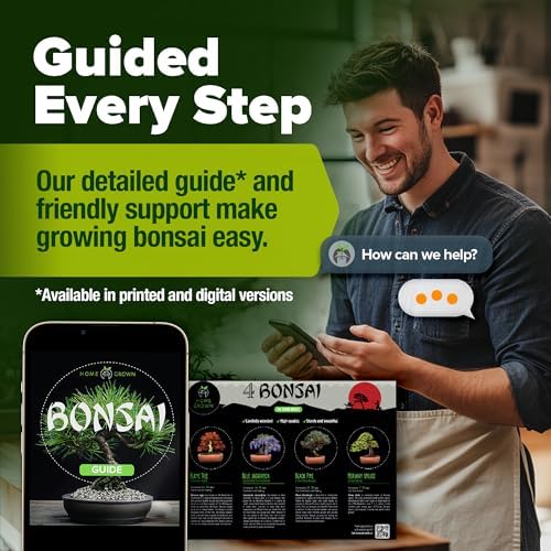 HOME GROWN Bonsai Tree Starter Kit, Grow 4 Bonsai Trees, Gardening Gift - Image 6