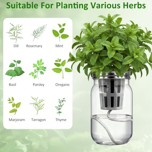 Teenyyou 12 Set Hydroponic Garden Mason Jar Kit Self Watering Herb Hydroponic Planter Starter Kit with Net Pot Garden Flower Plant Growing Gift for Indoor Herbs Windowsill Gardening - Image 4