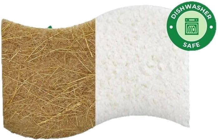 Kitchen Sponge, Plant-Based, Natural Coconut Fiber, 12 Pack - Image 3