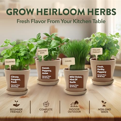 HOME GROWN 4 Herb Indoor Garden Kit, Christmas Gardening Gift for Adults - Image 3