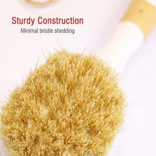 Vegetable & Dish Brush Set, Natural Sisal Bristle Kitchen Brush - Image 3