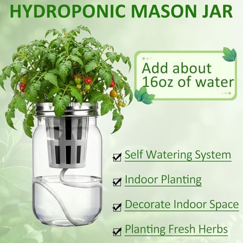 Teenyyou 12 Set Hydroponic Garden Mason Jar Kit Self Watering Herb Hydroponic Planter Starter Kit with Net Pot Garden Flower Plant Growing Gift for Indoor Herbs Windowsill Gardening - Image 3