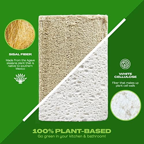 Natural Kitchen Dish Sponge Vegan Plant-Based for Dish Washing Home Cleaning - Each Pack Contains 2 Sponges (1 Pack) - Image 2