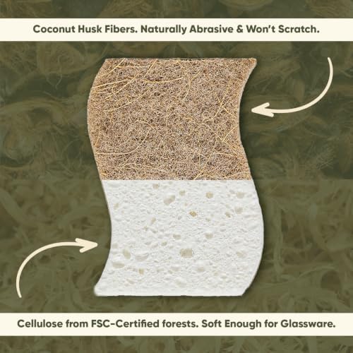 Plant-Based Kitchen Sponges (24 Pack) | USDA Biobased Certified | FSC & PETA Approved | Natural Cellulose & Coconut Scrubber Sponge | S-Shaped Design | Eco-Friendly, Non-Scratch, Non-Toxic & Vegan - Image 3
