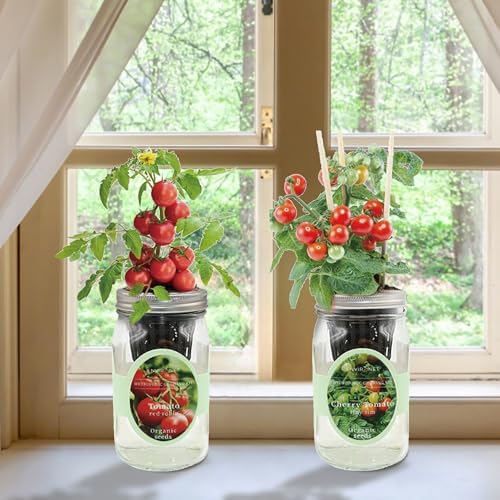 Tiny Tim & Red Robin Tomato Mason Jar Garden Kit, Mini Tomato Grow Duo, 2 Pack Indoor Hydroponic Growing Kit - Image 4